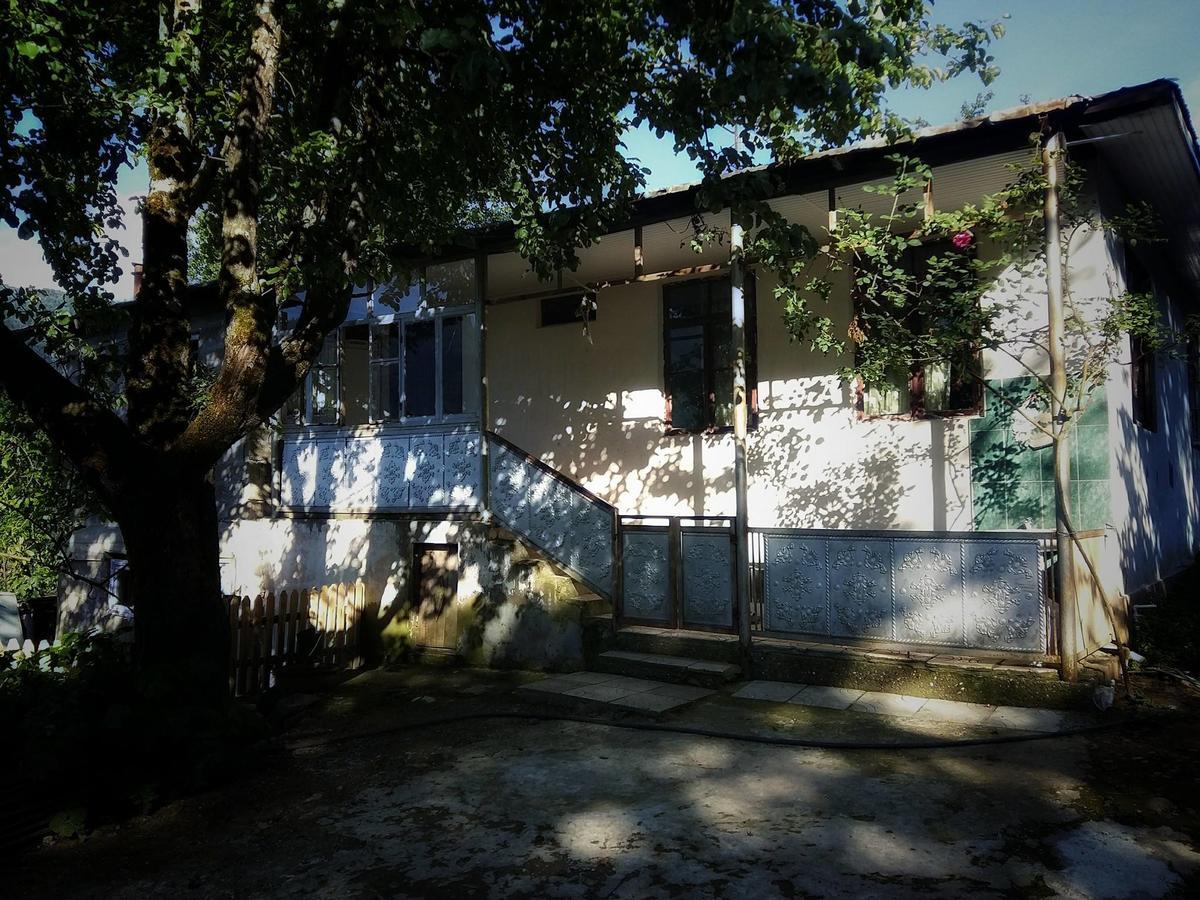 Guest House Noe Kveda Chkhutuneti 외부 사진